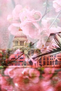 LondonFlowers©danybliss