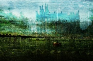 Jaillissement10©danybliss