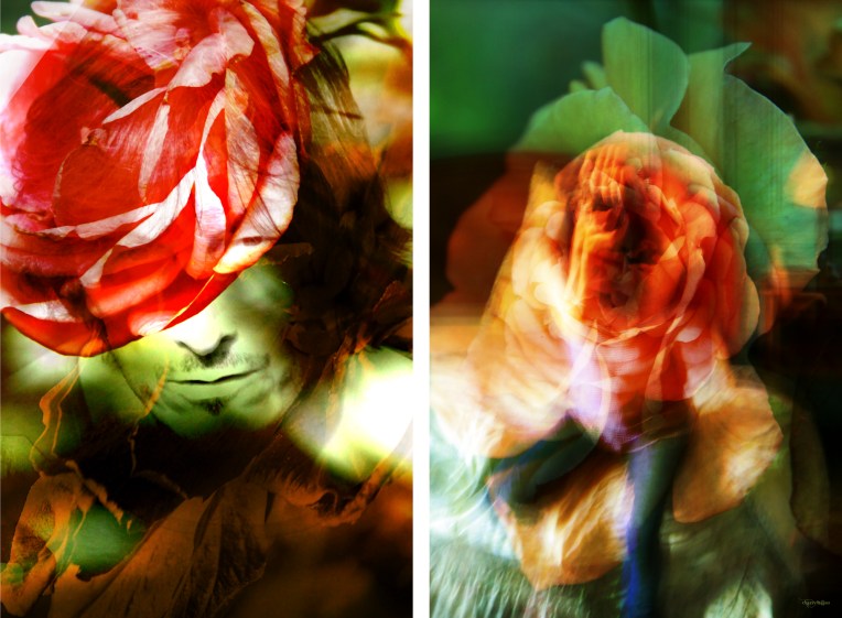 valentines-fusion-heart